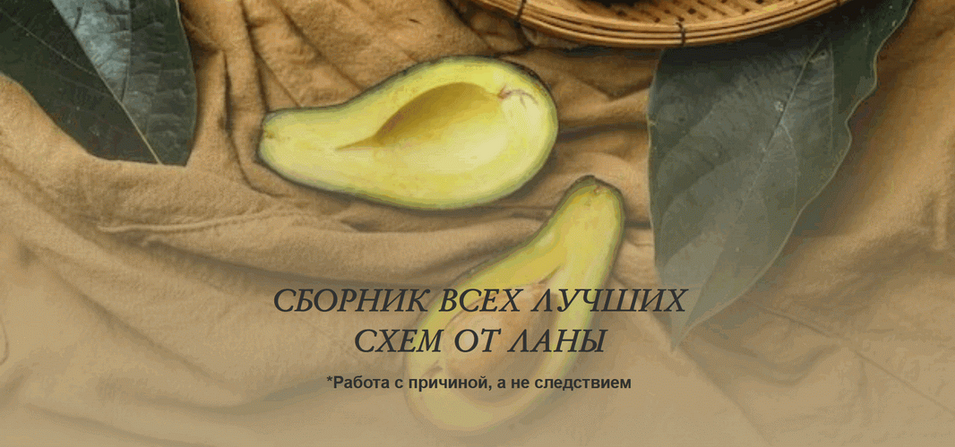 [Светлана Литвиненко] Сборник всех лучших схем (2025)