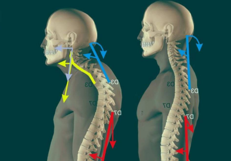[Екатерина Васильева] [kate_good_fitt] Курс 40 + (2025)