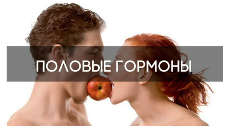 [Наталья Хаустова] [natahaus] Закрытый телеграм канал «ЗГТ». Про половые гормоны и всё, что с этим связано (2025)