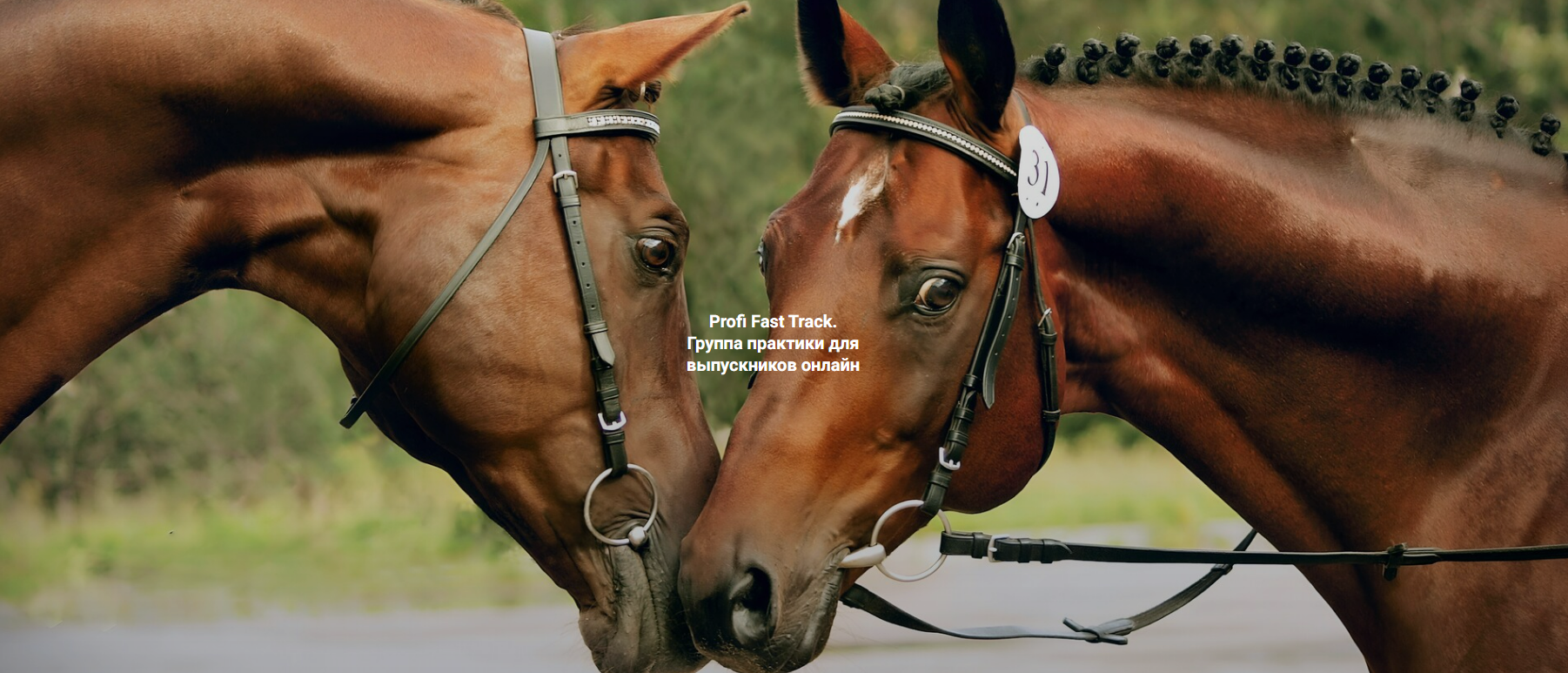 [Елена Веселаго] [Институт Открытого поля] Я беру свою жизнь себе. Profi Fast Track (2025)