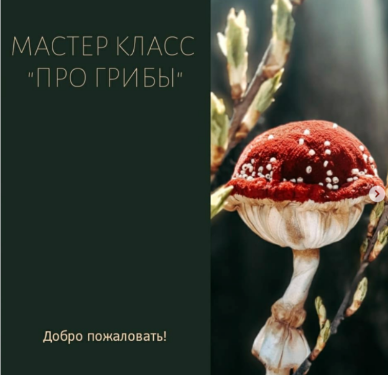 [Светлана Крашенинникова] Про Грибы (2025)