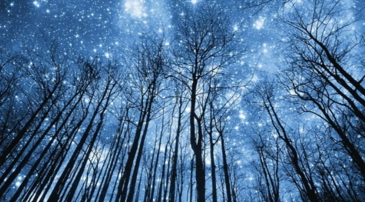 [Анна Староминская, Константин Дараган] Астрология налегке (сентябрь-октябрь 2025)