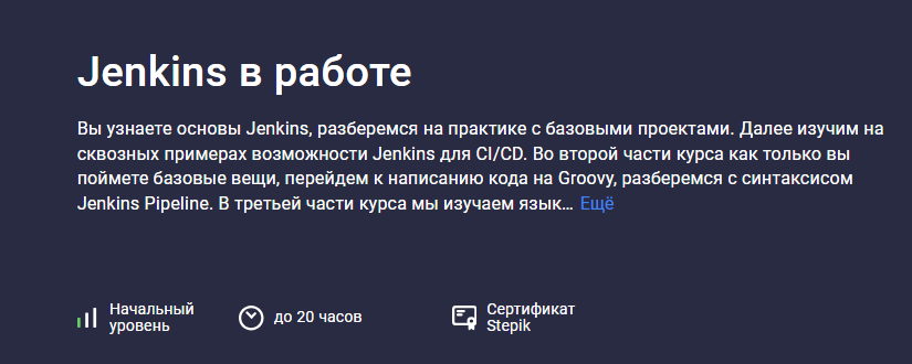 [Stepik, Evgeniy Lestopadov] Jenkins в работе (2025)