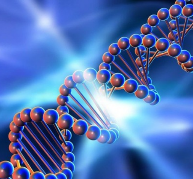 [genetics_4u] Биохимия мужского здоровья (2025)